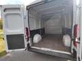 Fiat Ducato Kasten 33 120 L2H2 Euro6 Klima PDC Weiß - thumbnail 17