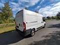 Fiat Ducato Kasten 33 120 L2H2 Euro6 Klima PDC Weiß - thumbnail 14