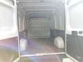 Fiat Ducato Kasten 33 120 L2H2 Euro6 Klima PDC Weiß - thumbnail 20