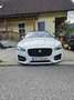 Jaguar XF 30d R-Sport Aut. Weiß - thumbnail 2