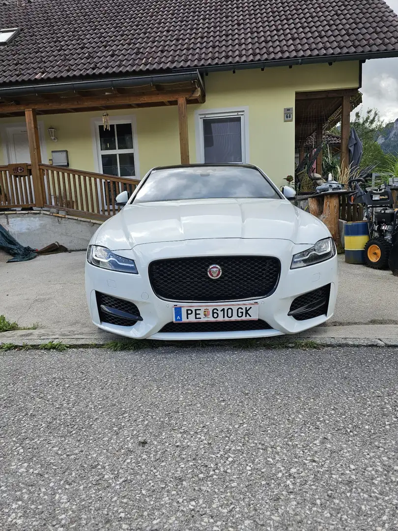 Jaguar XF 30d R-Sport Aut. Weiß - 2