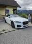 Jaguar XF 30d R-Sport Aut. Weiß - thumbnail 1