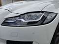 Jaguar XF 30d R-Sport Aut. Weiß - thumbnail 12