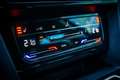Volkswagen Passat Variant 2.0 TDI Business DSG *NIVEAUREGULIERUNG*LED*NAVI* Grau - thumbnail 40