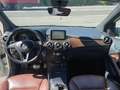 Mercedes-Benz B 180 cdi Sport Executive Pelle Navi Cruise Control Bianco - thumbnail 11