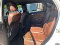 Mercedes-Benz B 180 cdi Sport Executive Pelle Navi Cruise Control Bianco - thumbnail 14