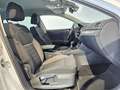 Skoda Superb Scout 4x4 Matrix Kamera Navi AHK Acc 18" Weiß - thumbnail 14