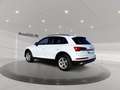 Audi Q5 40 TDI quattro *Navi*Sitzh*LED*AHK* Weiß - thumbnail 4