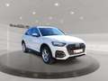 Audi Q5 40 TDI quattro *Navi*Sitzh*LED*AHK* Weiß - thumbnail 6