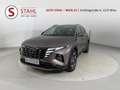 Hyundai TUCSON Tucson 1,6 T-GDI Hybrid 4WD Prestige Line Aut. ... Braun - thumbnail 1