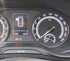 Skoda Karoq Karoq 2.0 TDI EVO SCR 4x4 DSG Executive Grau - thumbnail 3