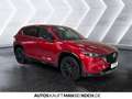 Mazda CX-5 2.0 AT MHEV Homura LED BOSE HEAD UP 360° ACC Rot - thumbnail 6