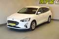 Ford Focus Turnier 1.5 EcoBl. "AHK*NAVI*TEMP*R-KAM" Weiß - thumbnail 12