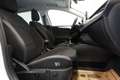 Ford Focus Turnier 1.5 EcoBl. "AHK*NAVI*TEMP*R-KAM" Weiß - thumbnail 19