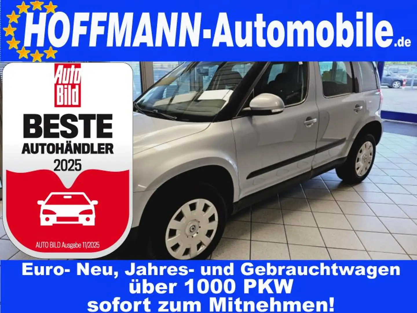 Skoda Yeti Active Tüv 10-2024 Grau - 1