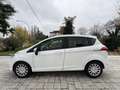 Ford B-Max B-Max 1.5 tdci 75cv OK NEOPATENTATI Blanc - thumbnail 3