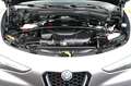 Alfa Romeo Stelvio Lusso Ti Q4 4x4 PANO ASSISTENZ GARANTIE Brun - thumbnail 37