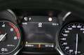 Alfa Romeo Stelvio Lusso Ti Q4 4x4 PANO ASSISTENZ GARANTIE Brun - thumbnail 45