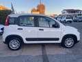 Fiat New Panda 1.0 Firefly hybrid 5POSTI RadioBT - Prezzo Reale Wit - thumbnail 5