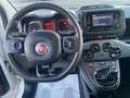 Fiat New Panda 1.0 Firefly hybrid 5POSTI RadioBT - Prezzo Reale Wit - thumbnail 7