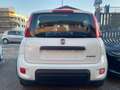 Fiat New Panda 1.0 Firefly hybrid 5POSTI RadioBT - Prezzo Reale Wit - thumbnail 6
