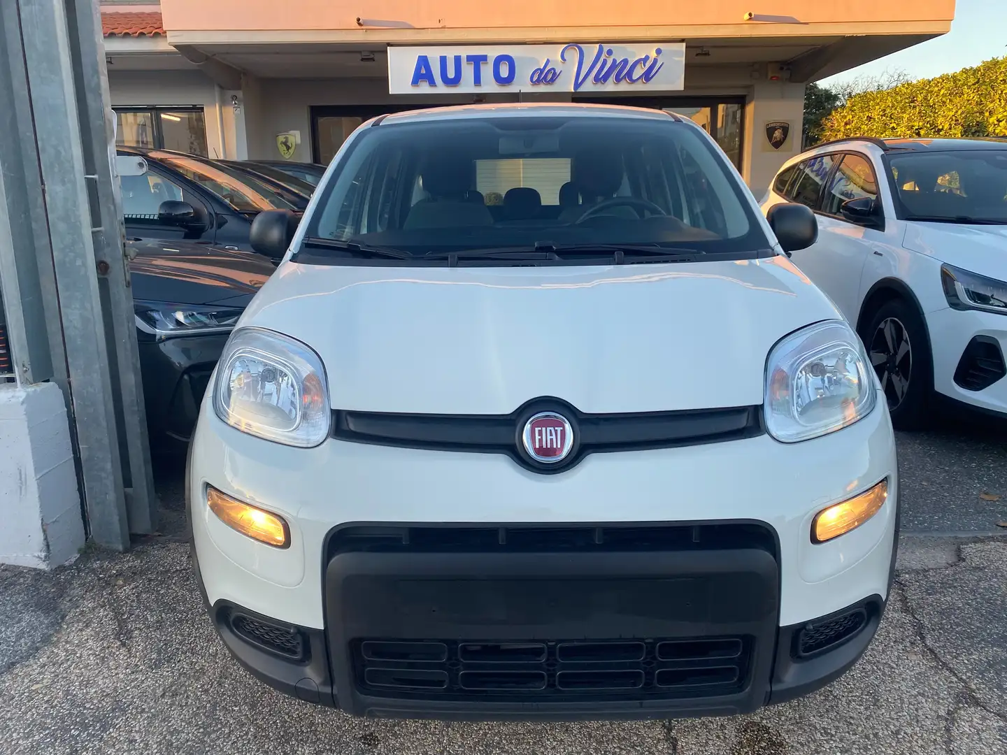 Fiat New Panda 1.0 Firefly hybrid 5POSTI RadioBT - Prezzo Reale Wit - 2