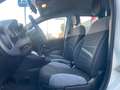 Fiat New Panda 1.0 Firefly hybrid 5POSTI RadioBT - Prezzo Reale Wit - thumbnail 10