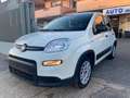 Fiat New Panda 1.0 Firefly hybrid 5POSTI RadioBT - Prezzo Reale Wit - thumbnail 1