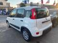 Fiat New Panda 1.0 Firefly hybrid 5POSTI RadioBT - Prezzo Reale Wit - thumbnail 4
