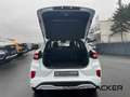 Ford Puma MHEV ST-Line 7AT. WinterPak -30%* Weiß - thumbnail 18