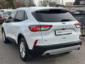 Ford Kuga Titanium 4x4 2.0 EcoBlue Navi ACC PDC AHK Blanc - thumbnail 4
