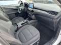 Ford Kuga Titanium 4x4 2.0 EcoBlue Navi ACC PDC AHK Blanc - thumbnail 23