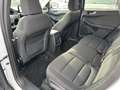 Ford Kuga Titanium 4x4 2.0 EcoBlue Navi ACC PDC AHK Blanc - thumbnail 20