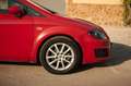 SEAT Leon 1.6TDI CR Reference Copa Rojo - thumbnail 6