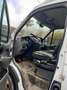 Iveco Daily 35S17D 3.0 Twin Turbo EEV 4x4 Bianco - thumbnail 3