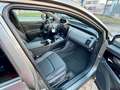Subaru Solterra platinum plus  / 360 grad, AWD, 150kw/h Gris - thumbnail 3