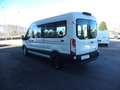 Ford Transit L3H2 TREND 2.0TDCI MHEV 130 Bianco - thumbnail 5