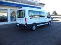 Ford Transit L3H2 TREND 2.0TDCI MHEV 130 Bianco - thumbnail 4