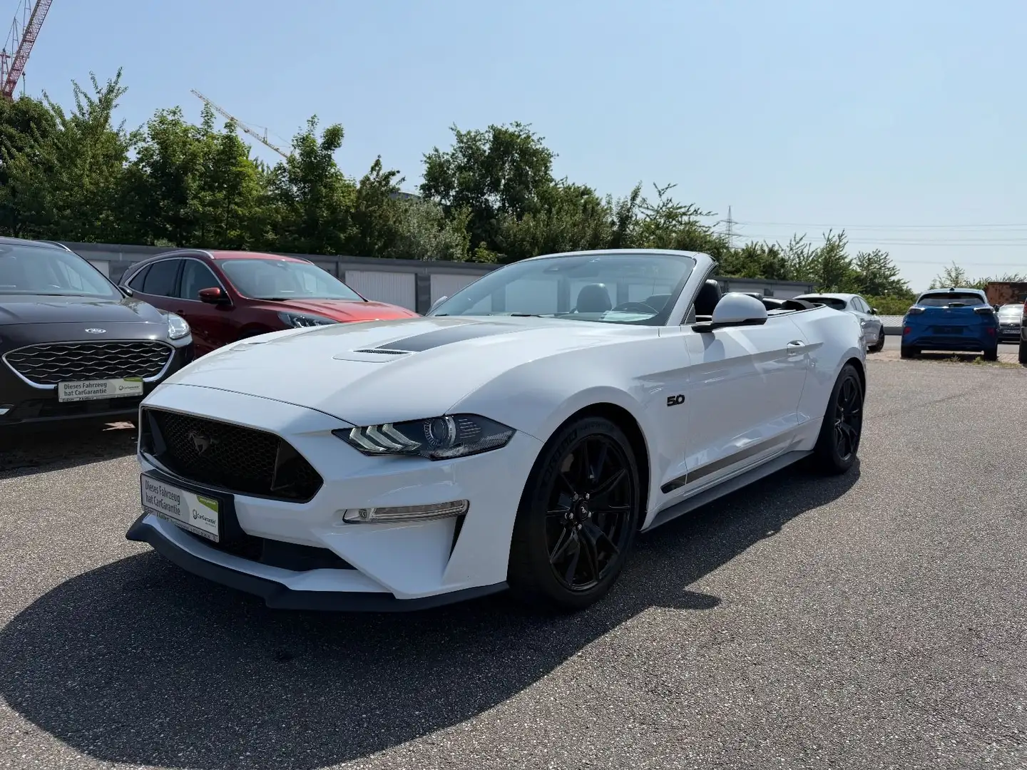 Ford Mustang GT Convertible Automatik+B&O+MagneRide Blanco - 2