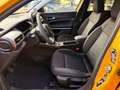 Jeep Avenger Avenger 1.2 turbo SUMMIT FWD CAMERA PELLE NAVI Or - thumbnail 10