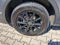 Volkswagen Tiguan Allspace Life TDI 4MOTION DSG Grau - thumbnail 5