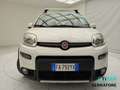 Fiat Panda III 2012 4x4 1.3 mjt 16v 4x4 s&s 95cv Blanc - thumbnail 2