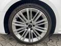 Audi A4 Lim. sport 3 x S Line*19 zoll*DAB*Navi* Blanc - thumbnail 15