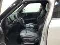 MINI Cooper Countryman Gris - thumbnail 12