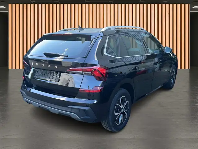 Skoda Kamiq view 6