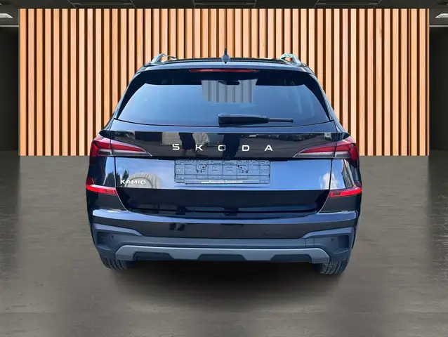 Skoda Kamiq view 5
