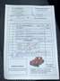 Nissan Qashqai Qashqai II 2014 1.6 dci 360 4wd 130cv Bianco - thumbnail 11