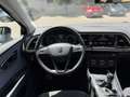 SEAT Leon 1.6TDI CR S&S Style 115 Gris - thumbnail 11