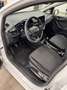 Ford Fiesta Fiesta 5p 1.1 Plus s Bianco - thumbnail 12