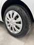 Ford Fiesta Fiesta 5p 1.1 Plus s Bianco - thumbnail 7